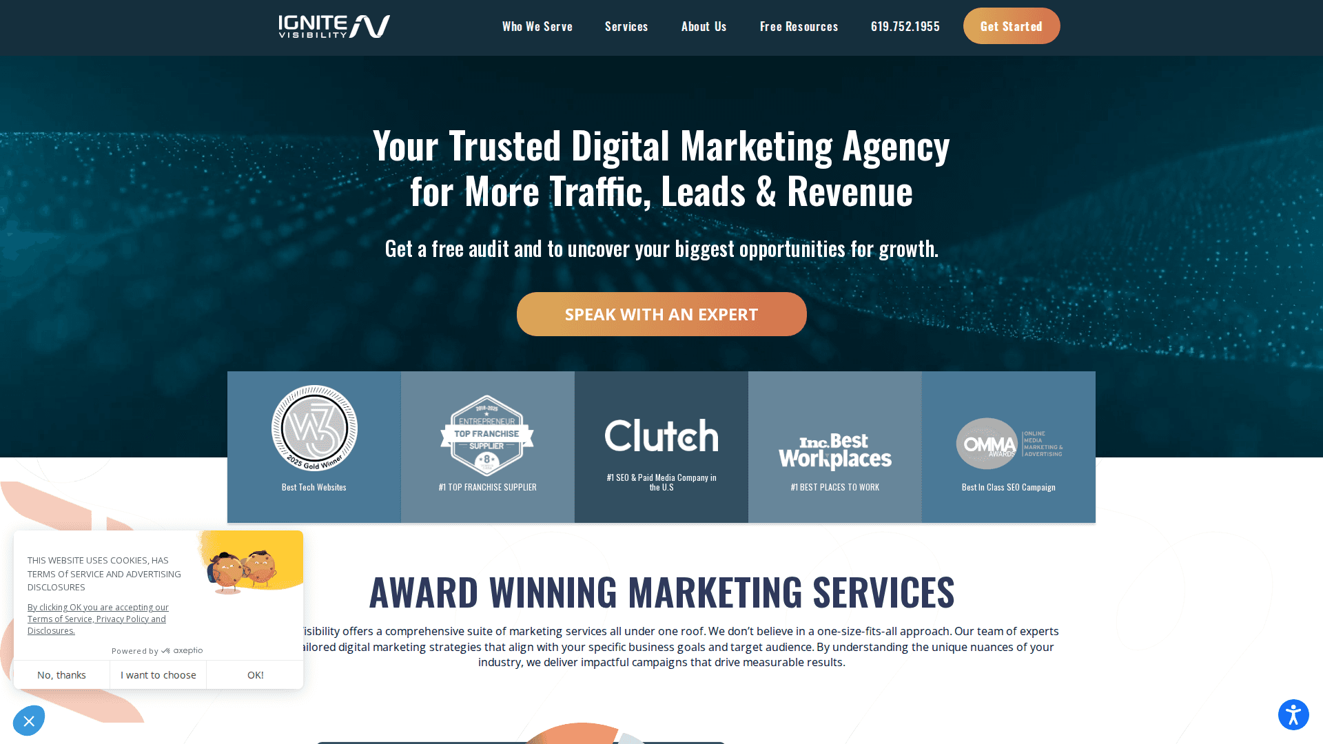 Ignite Visibility homepage screenshot