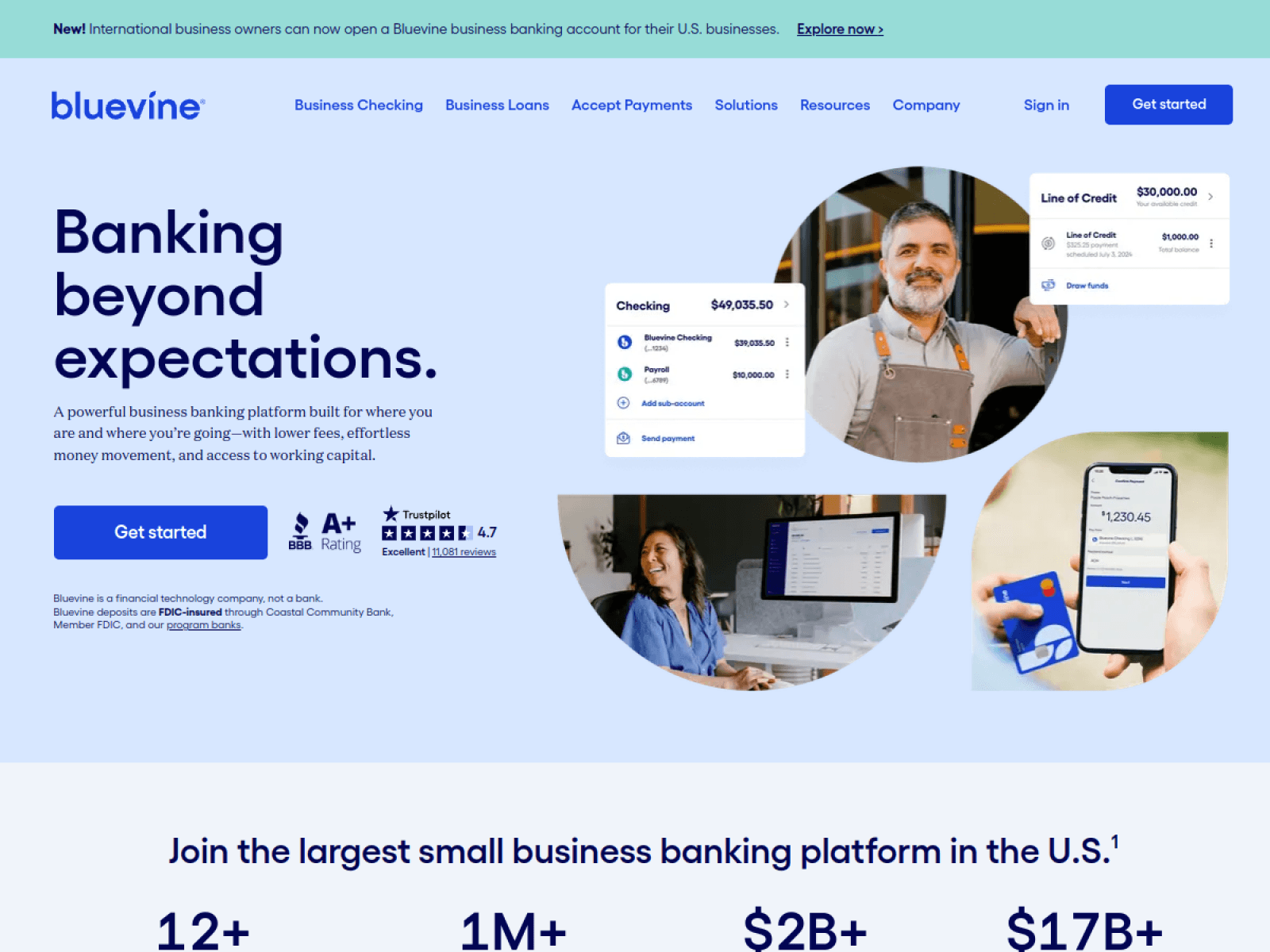 Bluevine homepage screenshot