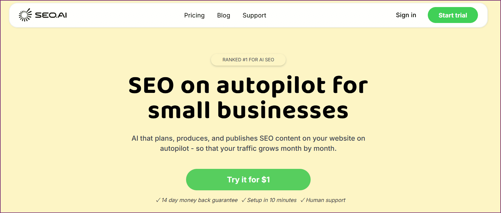 SEO.ai dashboard showing AI content optimization